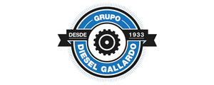 logo-grupo-diesel-navarro